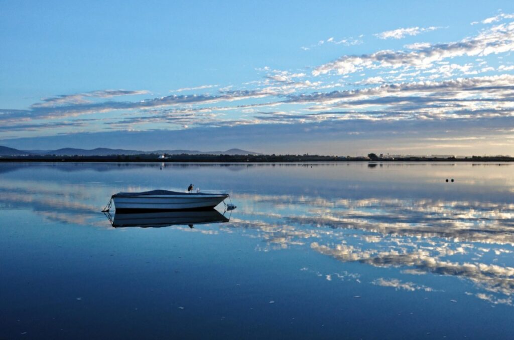 Inwestowanie w nieruchomości zawsze było uważane za jeden z bardziej stabilnych sposobów pomnażania kapitału
